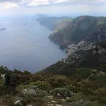 Radici