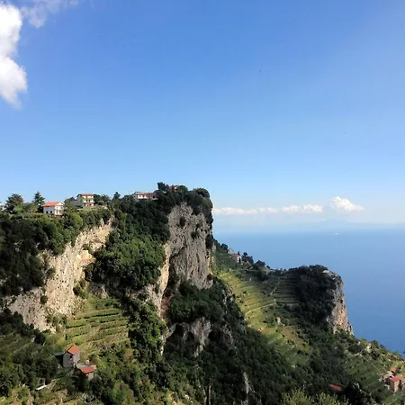 Radici